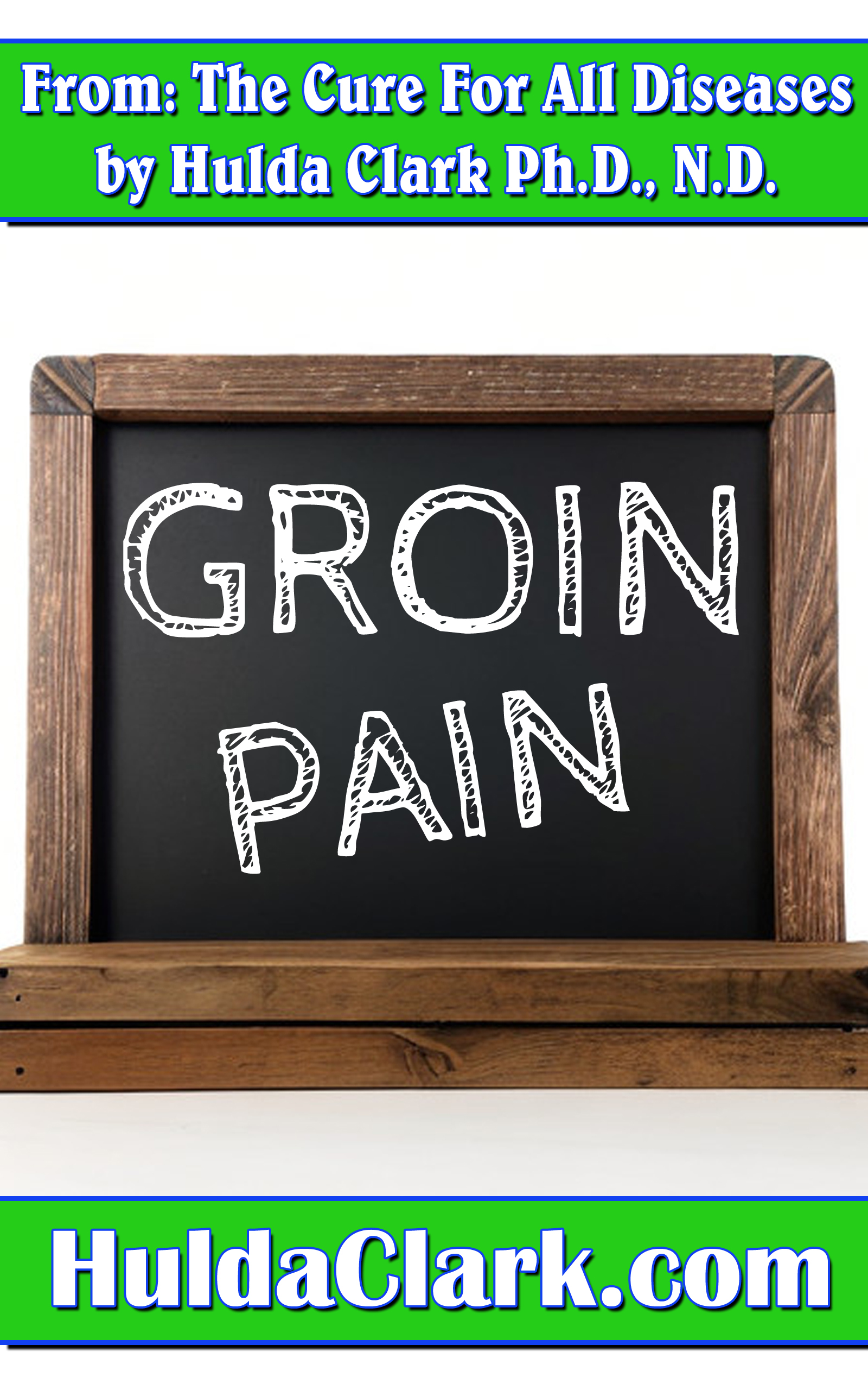 Groin Pain Ebook excerpt from The Cure for All Diseases by Hulda Clark