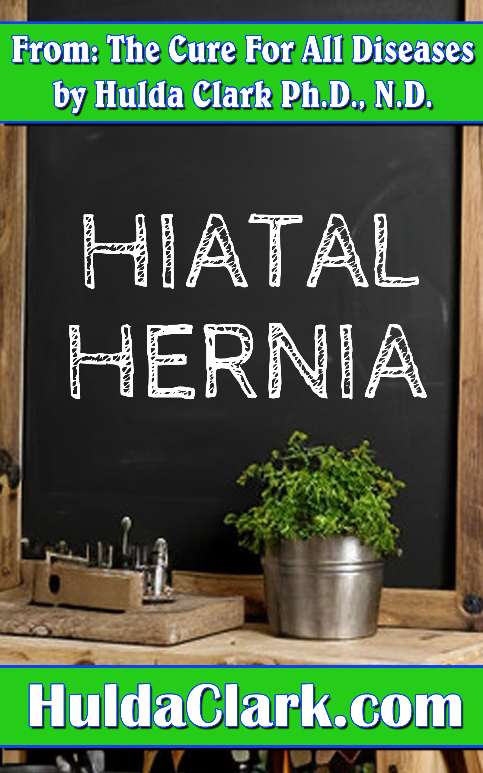 Hiatal Hernia Ebook excerpt from The Cure for All Diseases by Hulda Clark