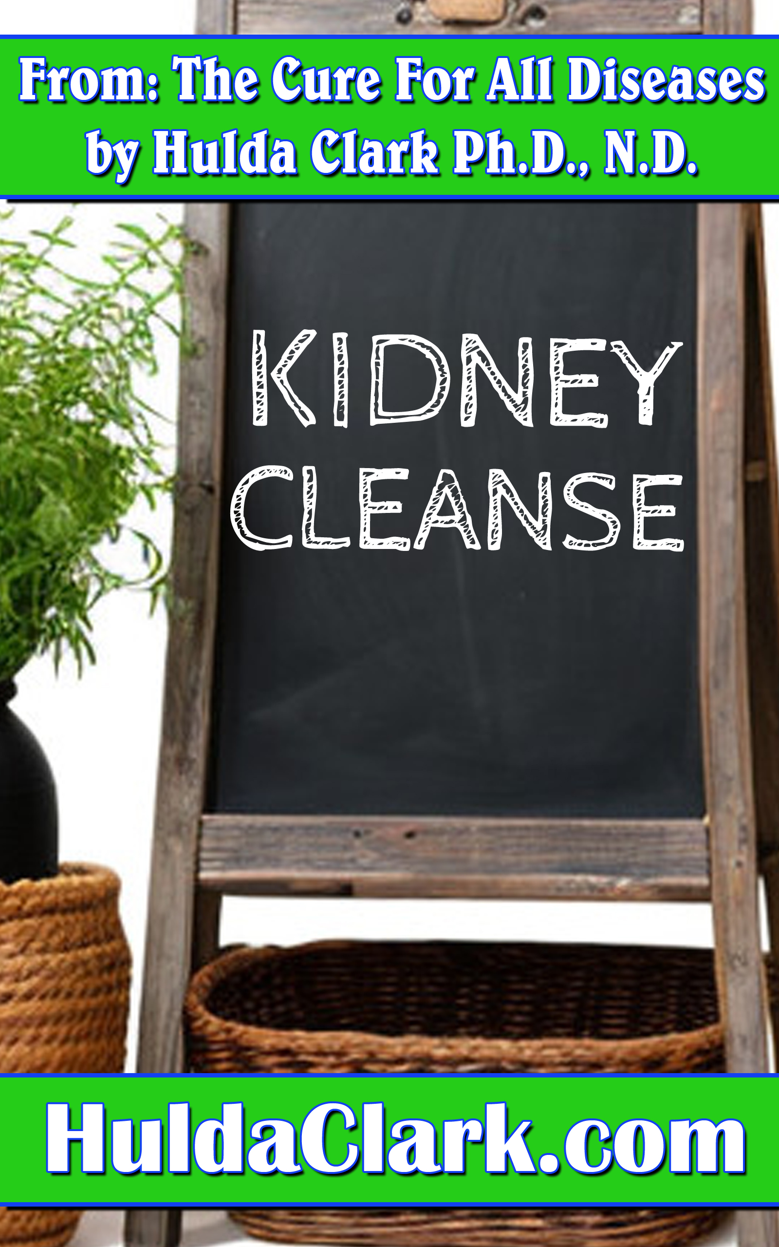Kidney Cleanse Ebook excerpt from The Cure for All Diseases by Hulda Clark