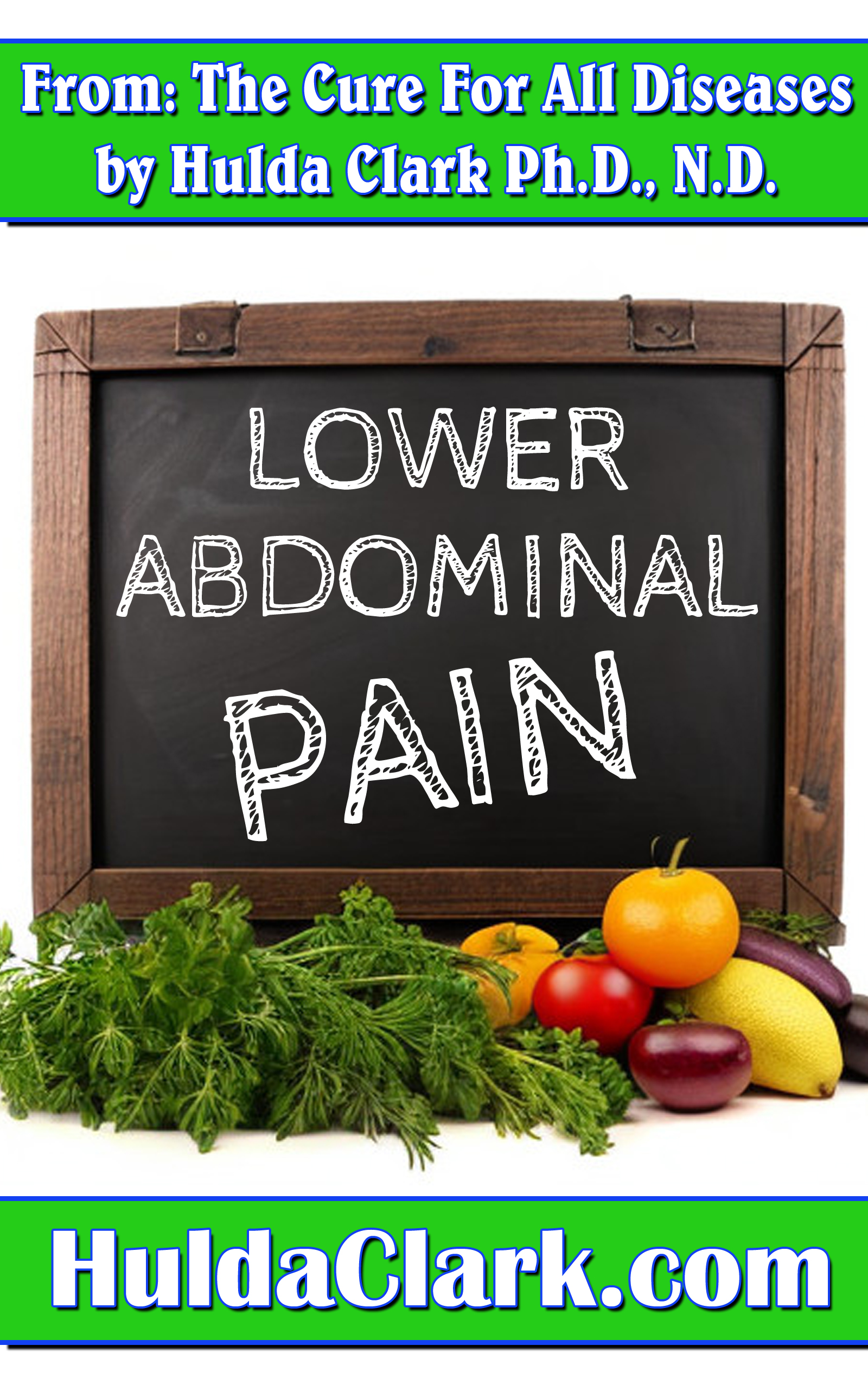 Lower Abdominal Pain Ebook excerpt from The Cure for All Diseases by Hulda Clark