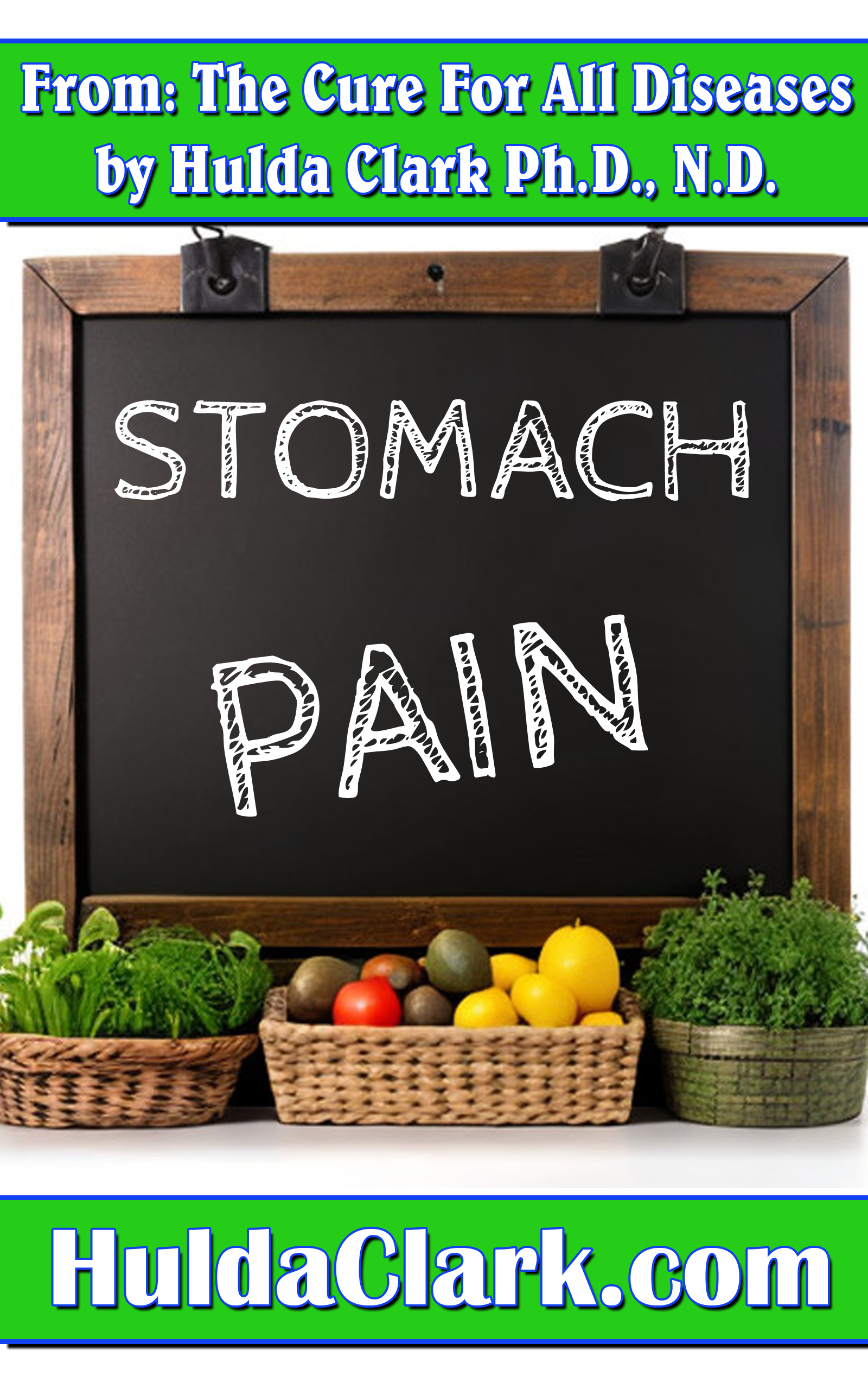 Stomach Pain Ebook excerpt from The Cure for All Diseases by Hulda Clark